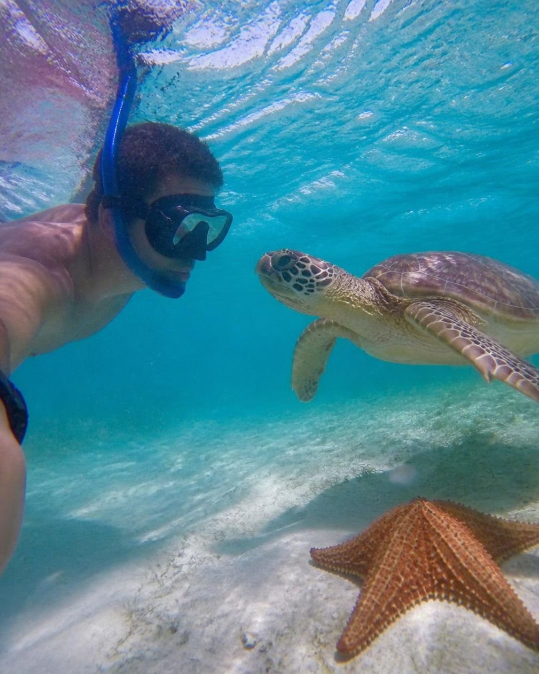 Snorkeling con le tartarughe marine