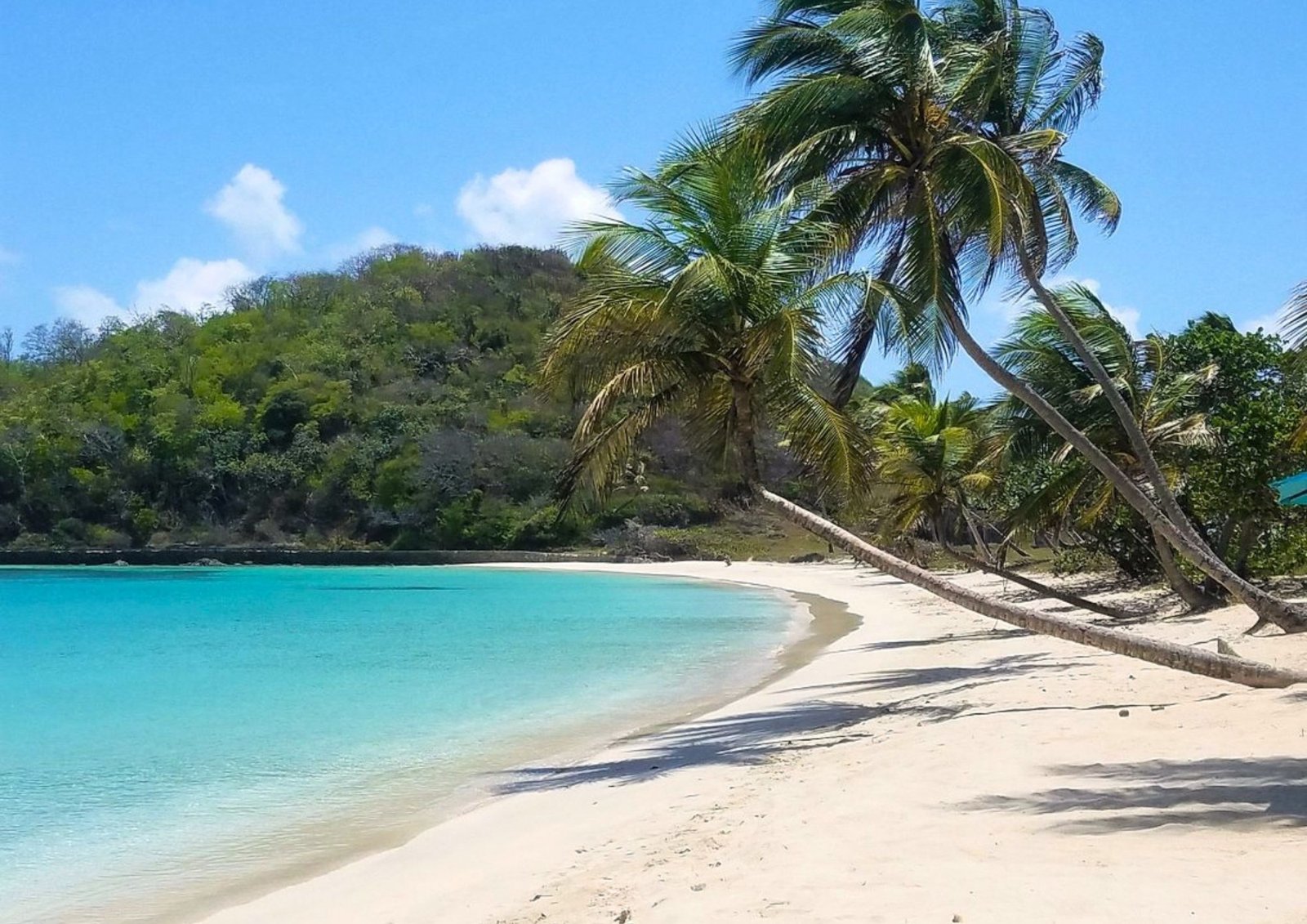 Mayreau